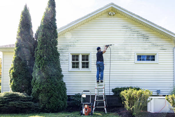 Best Residential Pressure Washing Services  in Park Rapids, MN