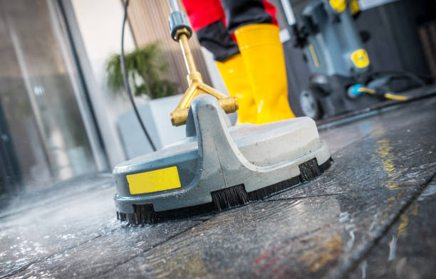 Best Best Pressure Washing Companies  in Park Rapids, MN