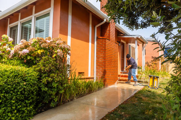 Best Exterior Home Cleaning  in Park Rapids, MN