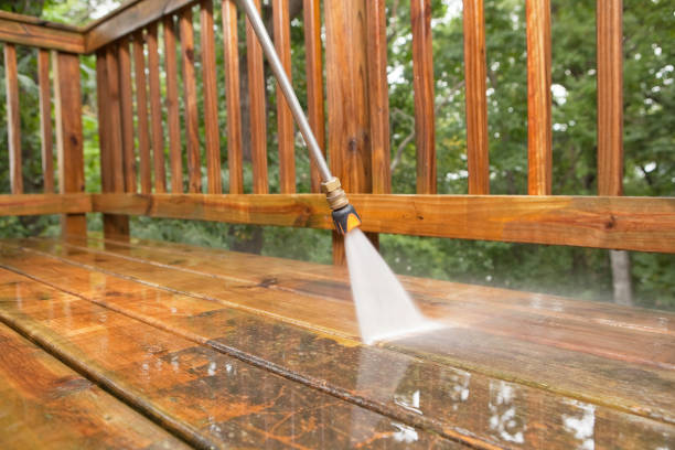 Best Concrete Pressure Washing  in Park Rapids, MN